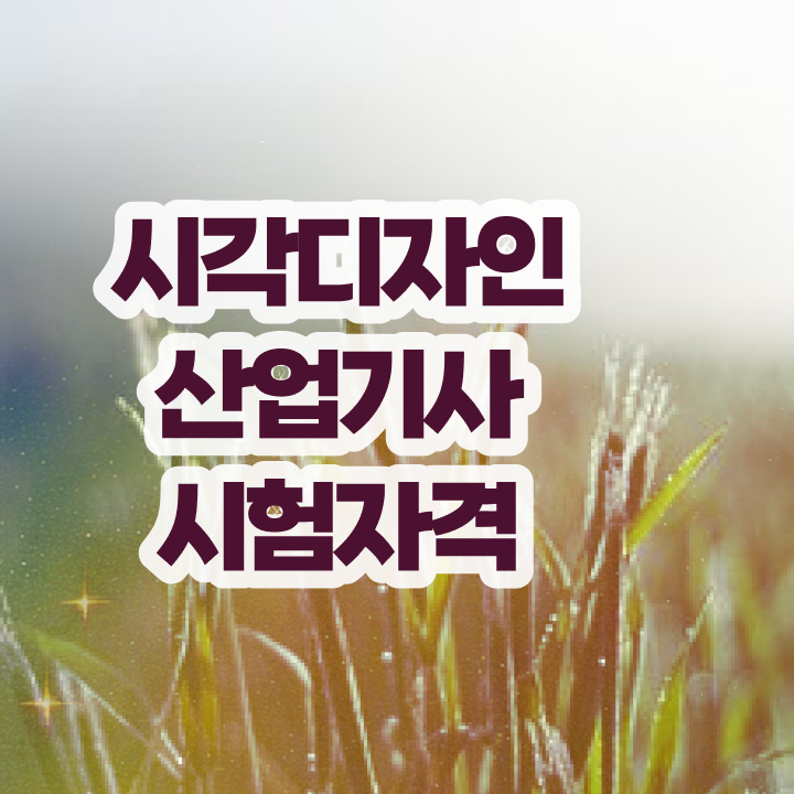  시각디자인산업기사 자격요건 온라인 과정으로 쉽고 빠르게 성공한 전략