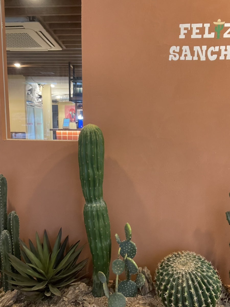 펠리스산쵸 강남대치점 사진 2