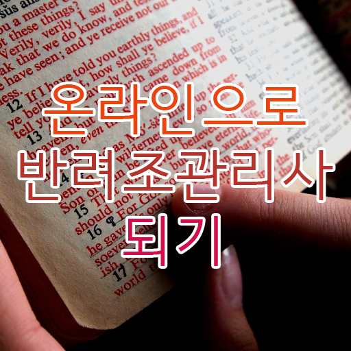  모란앵무입질 교정 , 반려조관리사 자격증 단기간에 준비한 과정 및 온라인 무료강의
