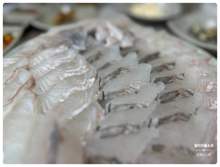  #내돈내먹 [안성맛집] 백제수산, 횟집 특유의 활기참을 느끼고 싶다면?