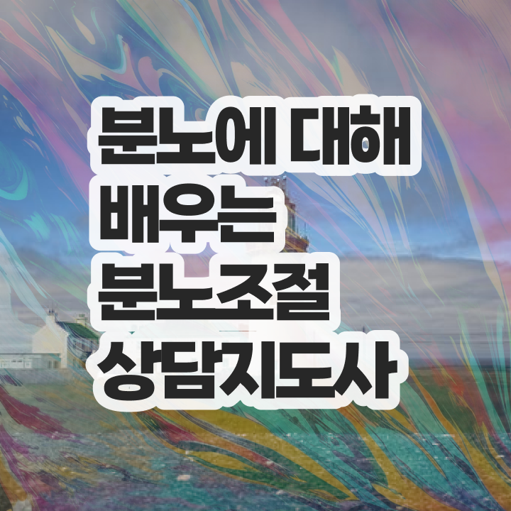  40대여성자격증 , 분노조절상담지도사 혼자서 독학으로 편하게 끝냈던 과정