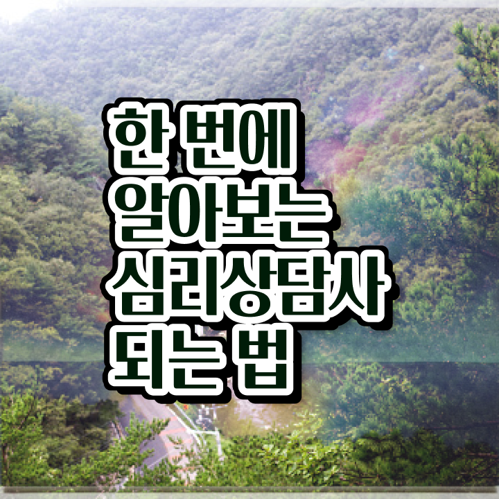  아동 심리상담사 자격증 , 심리상담사 자격증 응시자격 없이 준비한 과정 , 취업정보