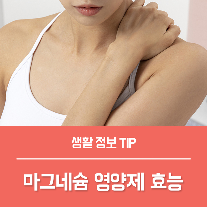  마그네슘 영양제 효능 섭취방법, 마그네슘영양제 추천 기준은?