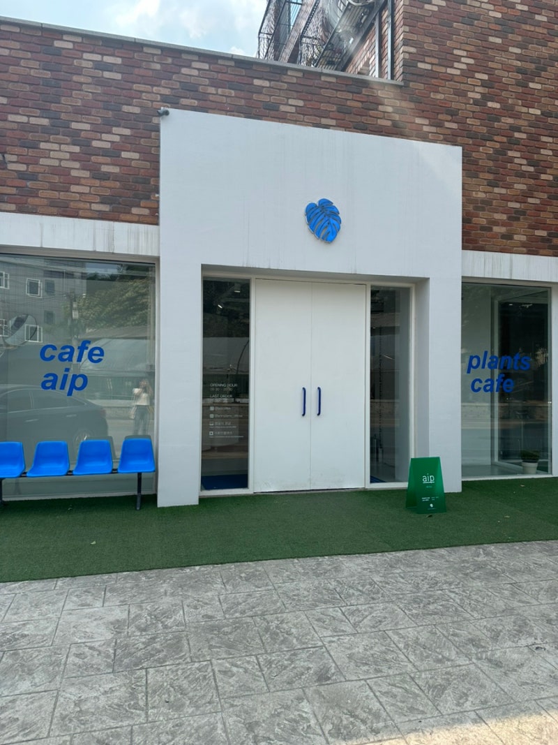 부천카페 에이프 식집사 엄마랑 다녀온 부천식물카페 식물뽑기 후기 : 네이버 블로그