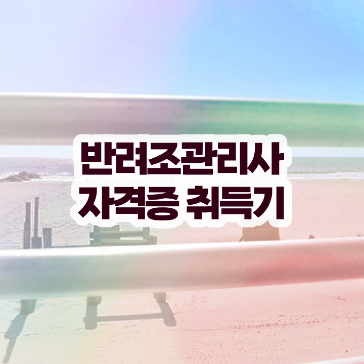  앵무새입양 , 반려조관리사 자격증 온라인 교육으로 취득한 과정 및 취업 전망