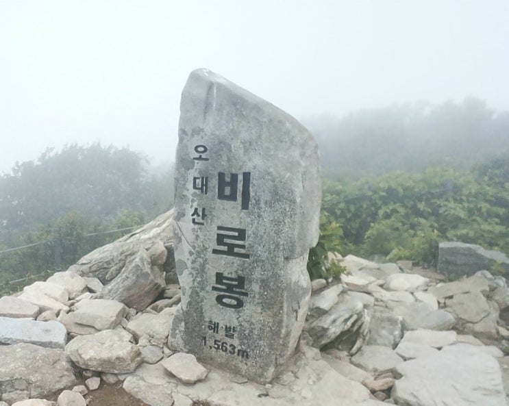  100대 명상 : 평창 오대산  여름산행 안개자욱한 뷰 하나도 안보임
