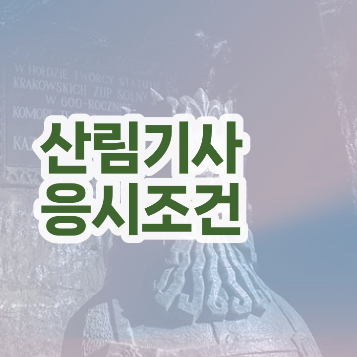  산림기사 필기시험 시간 산림기사 취득자격 온라인 수업으로 간단하게 완료한 방법