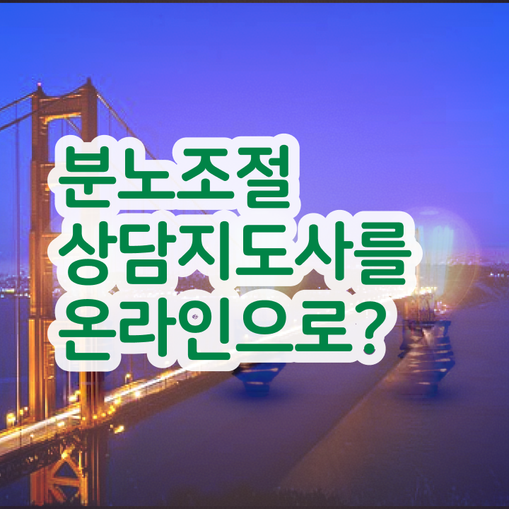  유아 분노조절장애 분노조절상담지도사자격증 합격한 팁 , 하는일