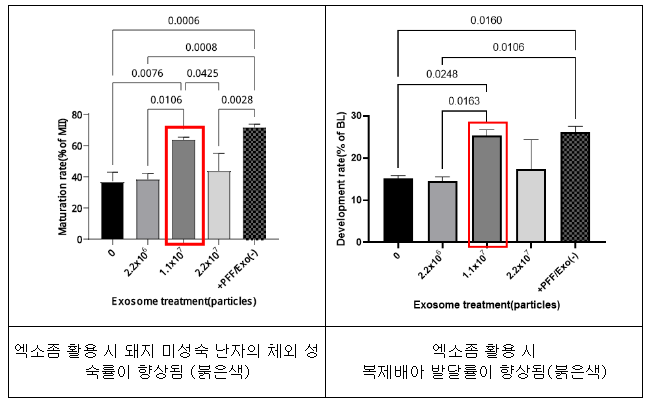 형질전환 돼지 생산 효율 높이는 배양법 개발 형질전환 돼지 생산 효율 높이는 배양법 개발