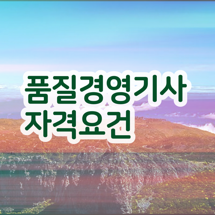  2024 품질경영기사 품질경영기사 자격요건 온라인으로 15주 동안 끝낸 노하우
