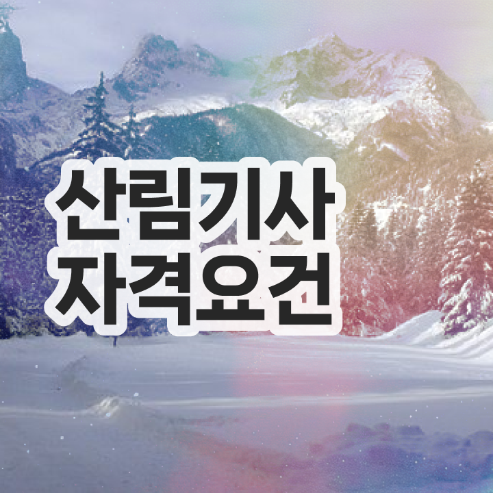  산림기사 2024 시험일정 산림기사 시험응시조건 인강으로 간단하게 준비한 비법