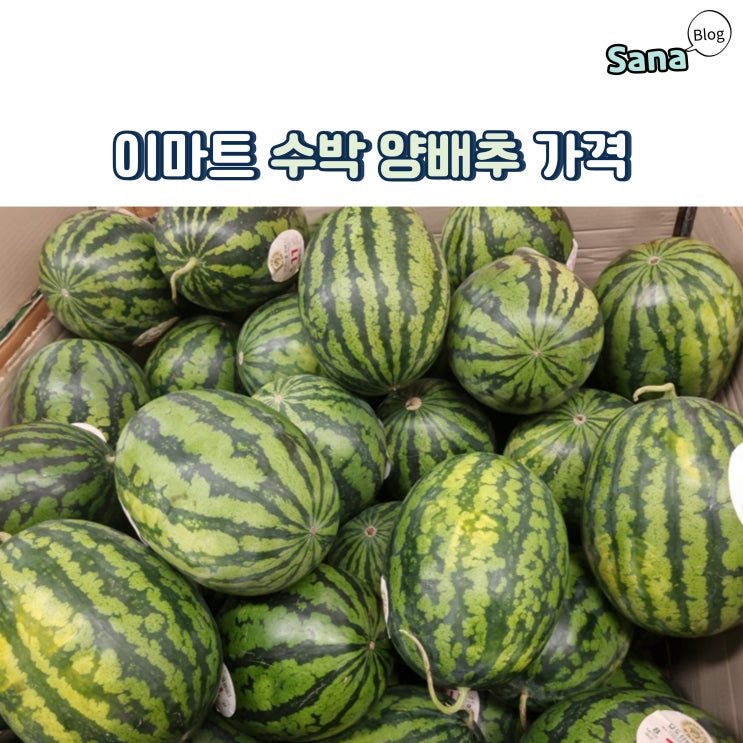  이마트 블랙망고 까망애플수박 양배추 가격