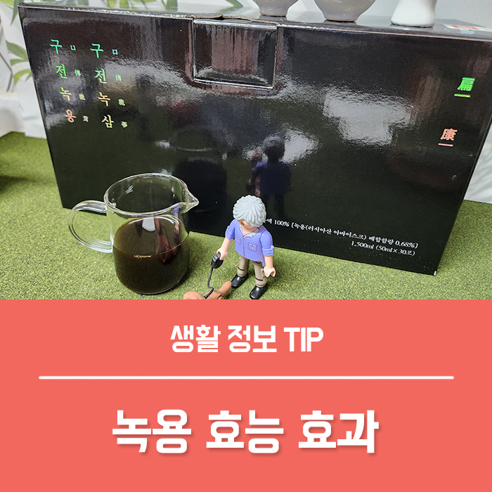  녹용 효능, 녹용 효과 러시아 녹용 분골 추천 기준은?
