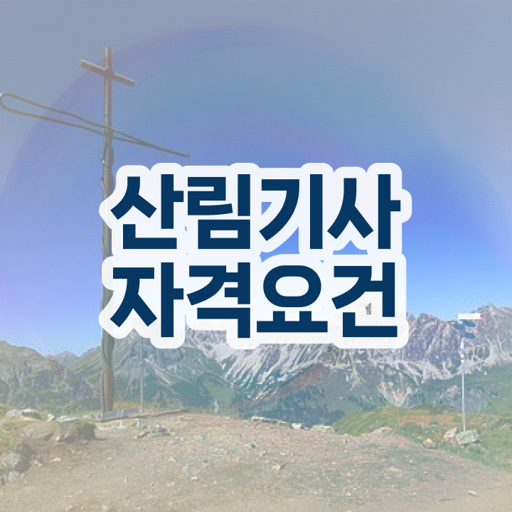  산림기사 필기 인강 산림기사 시험응시자격 온라인 과정으로 15주 동안 성공한 과정