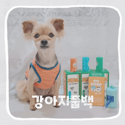  강아지 배변봉투 추천 생분해 풉백 줍줍 f.똥츄 처리팁