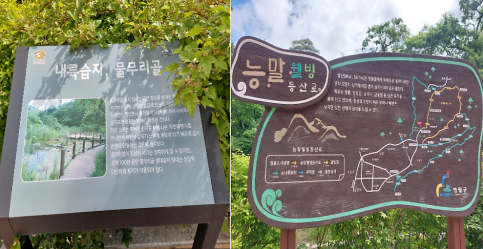 한골 사진 1