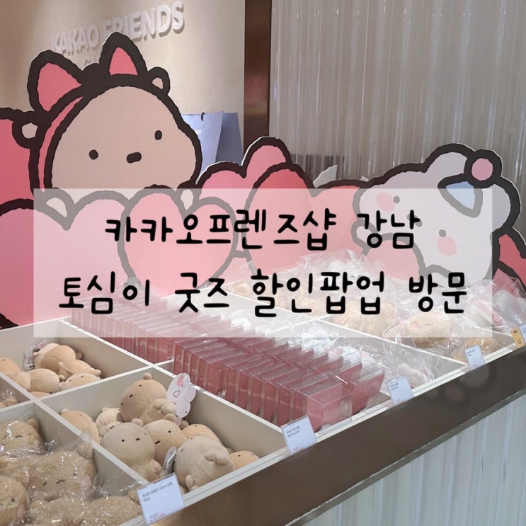  카카오프렌즈 강남 토심이 굿즈 할인 팝업스토어 방문 후기 + 내돈내산 추천템