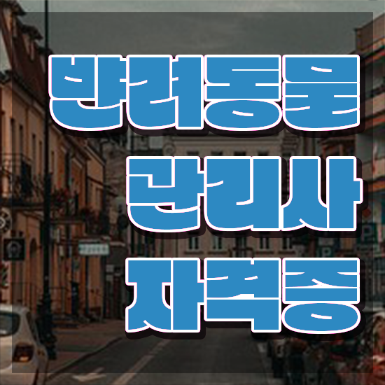  강아지훈련자격증 , 반려동물관리사 자격증 준비한 과정 정보 모두 드려요