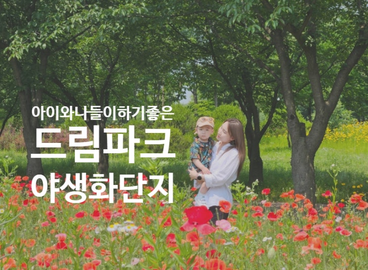  검단 드림파크 야생화단지_아이와 함께 산책하기 좋은 검단 공원
