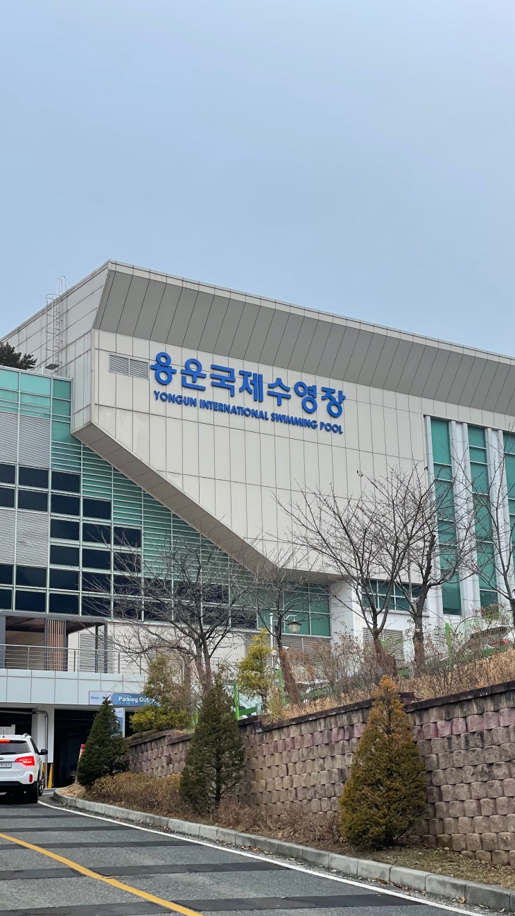  [수영 대회] 2. 대전이즈유 | 용운 국제수영장 | 자유형 100 | 자유형 50 | 2023년 마지막 대회 | 종합 5위 (231210 일)