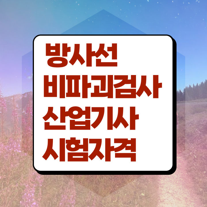  방사선비파괴검사산업기사 필기 과목 방사선비파괴검사산업기사 자격요건 독학으로 5개월 만에 성공한 후기