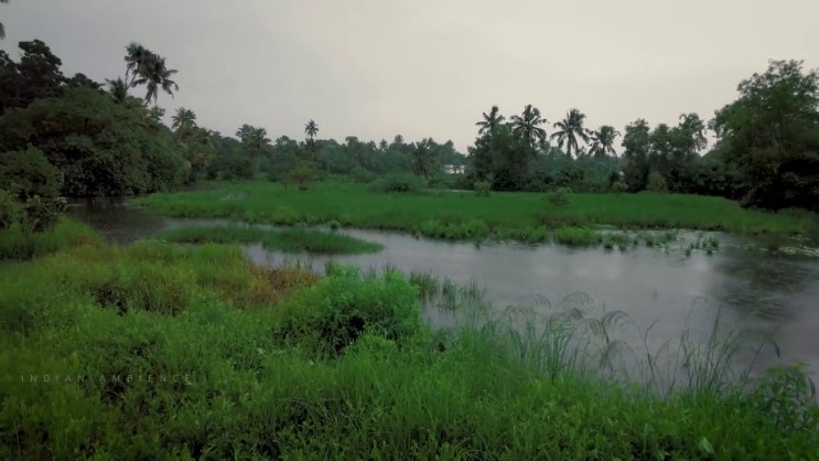  의정부 사회복지직 공무원 과목 사회복지사2급 대학진학없이 온라인 수업으로 손쉽게
