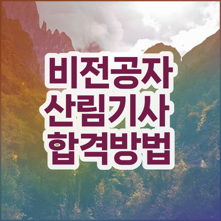  산림기사 자격증 산림기사 시험응시자격 온라인으로 1학기에 성공한 노하우