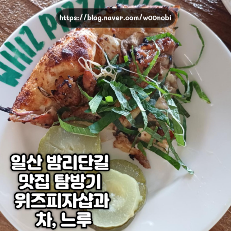  일산 밤리단길 맛집 탐방기  위즈피자샵과  차 느루