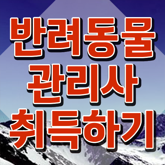  부산 강아지 훈련사 , 반려동물관리사 자격증 응시자격 없이 합격한 팁 및 고용 전망