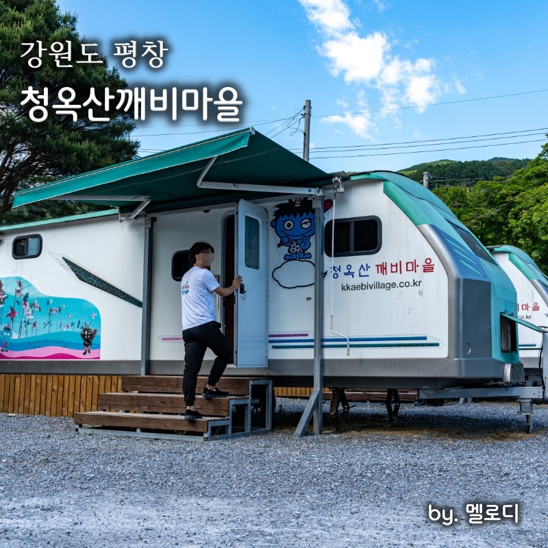 사진 5