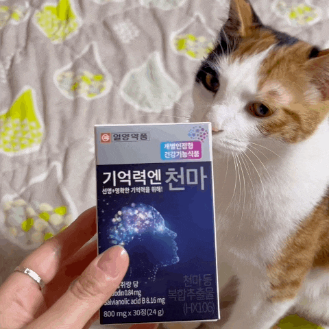  두뇌영양제 기억력엔 천마 부모님, 수험생 선물 추천