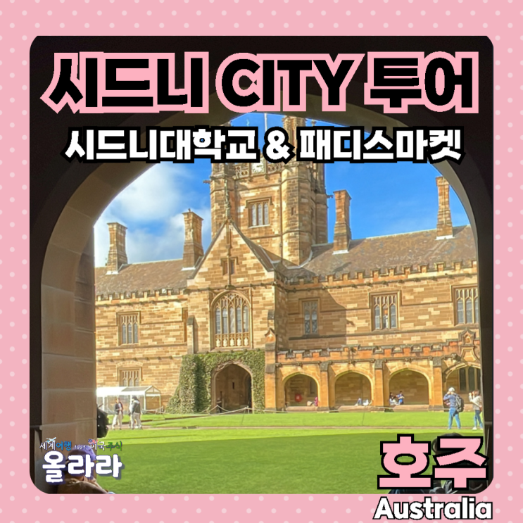 호주 가볼만한곳 시드니대학교 패디스마켓 해리포터 버스 트램