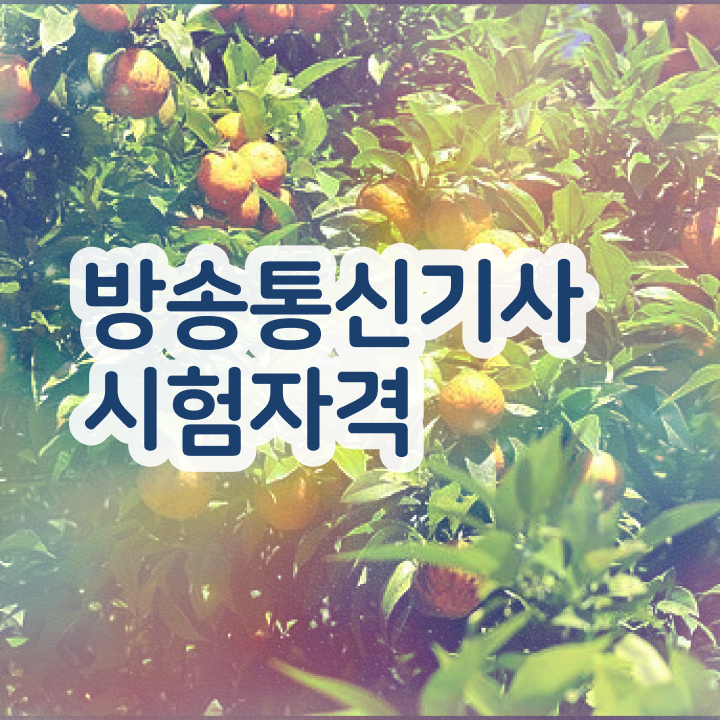  방송통신기능사 방송통신기사 시험자격 독학으로 간단하게 끝낸 방법