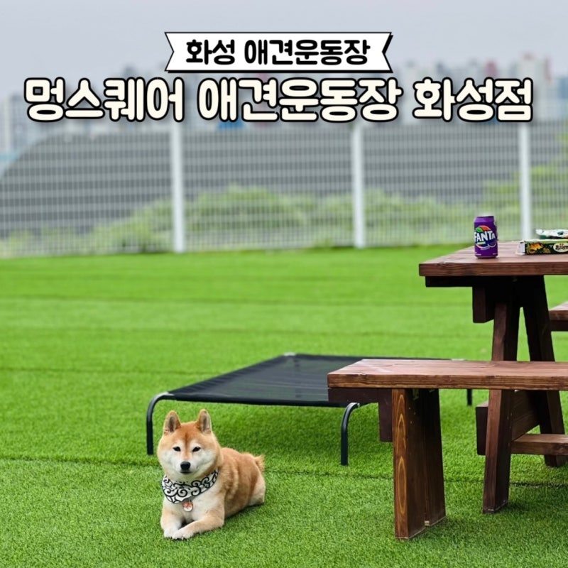 사진 3