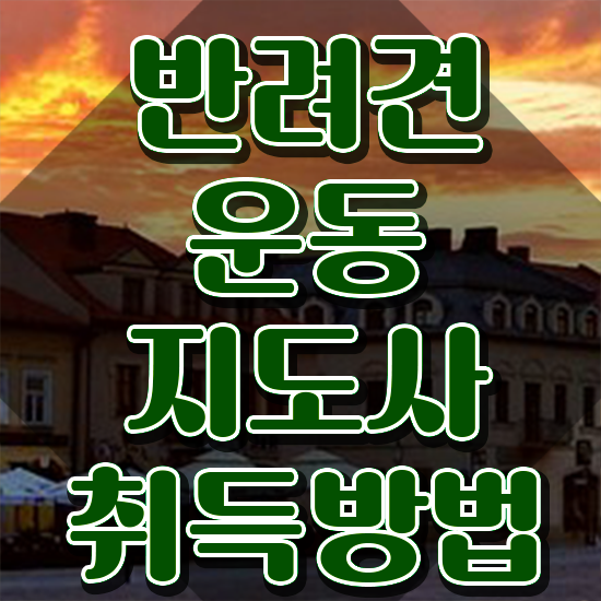  오산 강아지 훈련사 , 온라인으로 간단히 반려견운동지도사 준비 과정