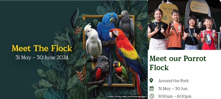  1) 싱가포르 버드파라다이스 Meet The Flock (24년 5월 31일 – 24년 6월 30일)