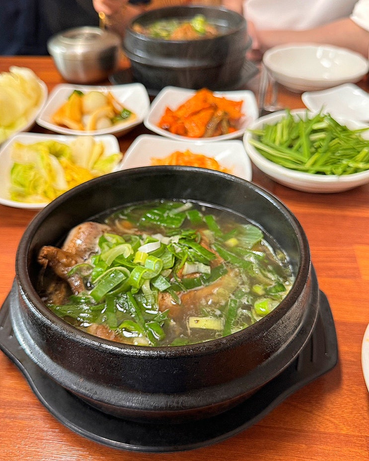  전북 고창청농원 주변 곤드레 돌솥밥, 능이백숙 맛집 오거리식당