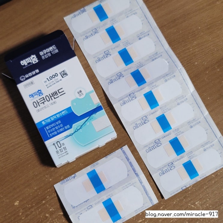  다이소 해피홈 아쿠아밴드 가격 및 특징 내돈내산 리뷰