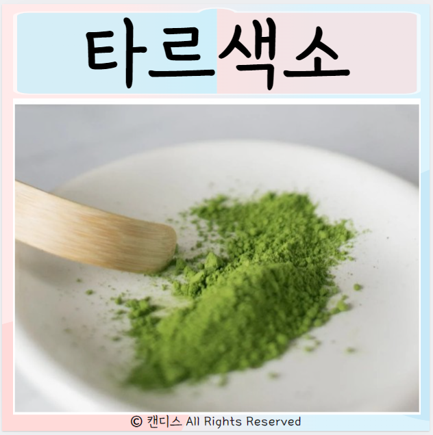  타르색소 종류 위험 적색 황색 등