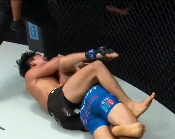  [원챔피언십] Adrian Lee, '프로 MMA 데뷔전'에서 초크 승..."50K 보너스 수상"