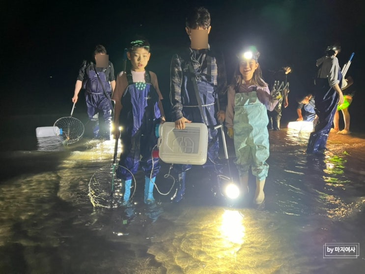  [해루질펜션] 태안해루질 _ 서해 초등학생 아이들과 해루질 / 조개 갯벌체험 / 서해안물때표
