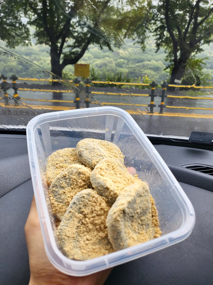  구례 애견동반 식당 쑥떡이 맛있는 섬진강재첩국수
