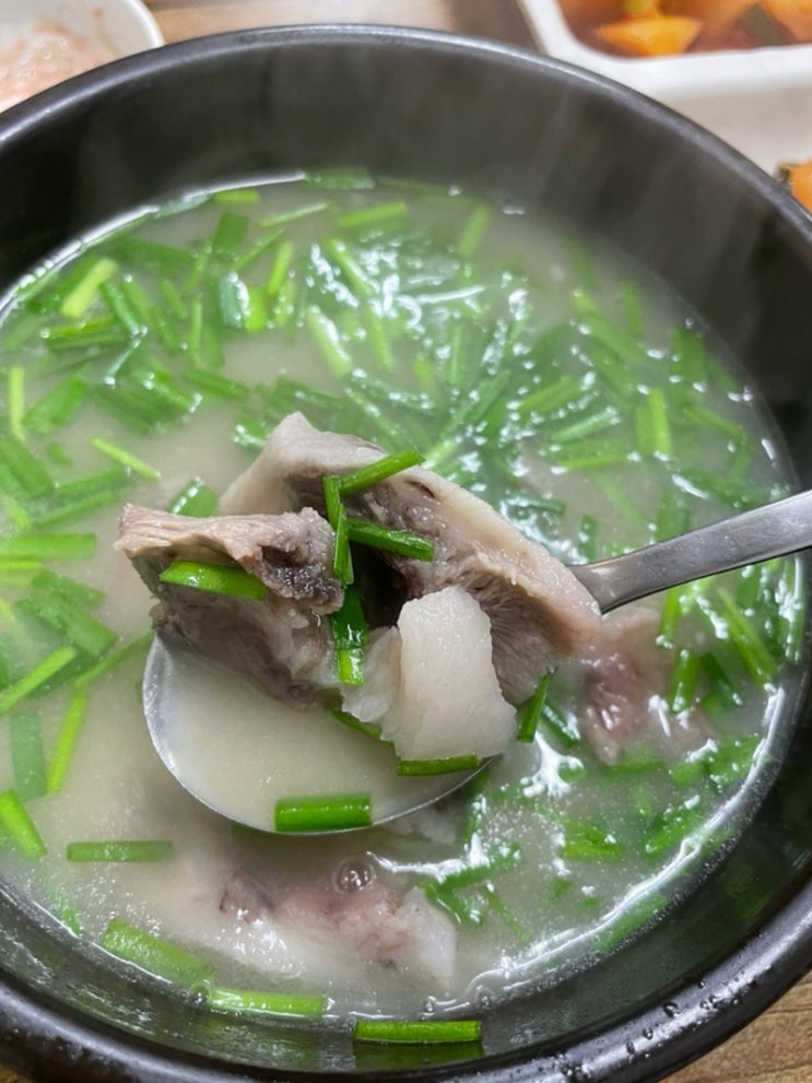  종로3가역 맛집 합천 돼지국밥 부산에서 먹던 맛 수육 정식