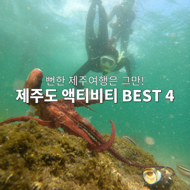  제주여행 | 제주도 액티비티 BEST 4 해녀체험, 승마, 서핑, 전기자전거 상세정보