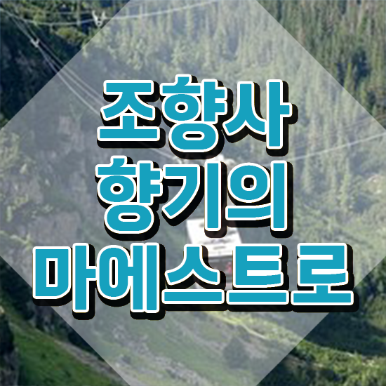  조향사 자격증 종류 , 조향사자격증 온라인으로 준비 과정