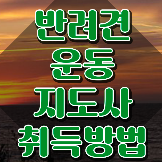  반려동물식품관리사 단기간에 반려견운동지도사자격증 합격한 후기