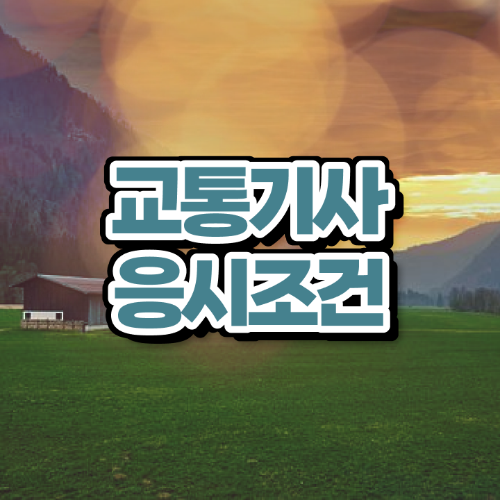  교통기사 필기 교통기사 취득자격 독학으로 1학기 만에 준비한 과정