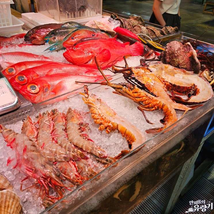 오키나와 수산시장 해산물 국제거리 마키시 수산시장
