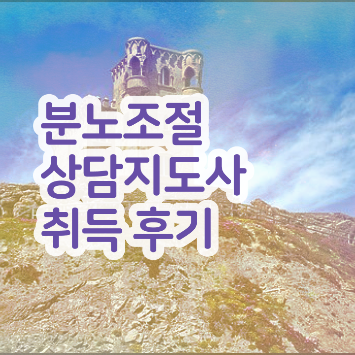  40대후반자격증 , 분노조절상담지도사 비전공 직장인도 온라인 교육원에서 손쉽게 준비하는 팁