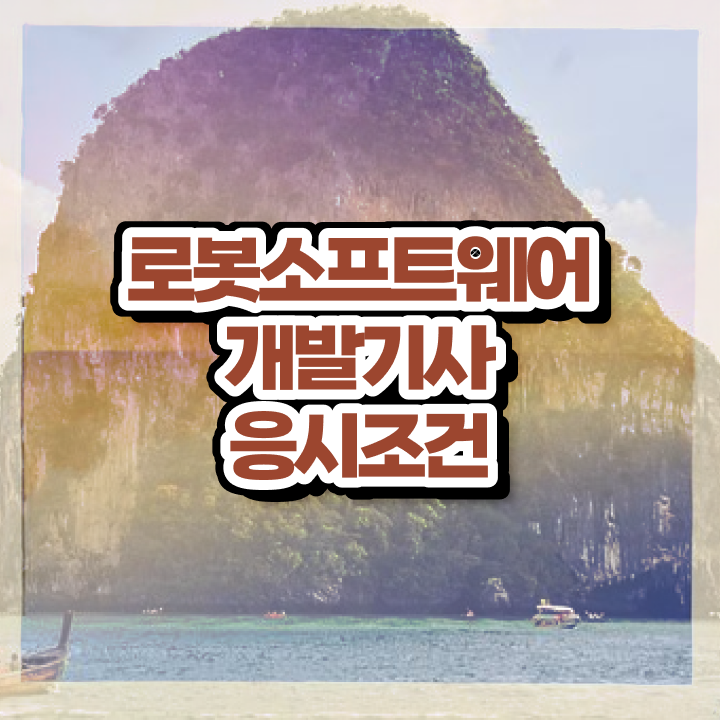 로봇소프트웨어개발기사 자격 요건 로봇소프트웨어개발기사 취득자격 온라인 과정으로 4달만에 완료한 전략
